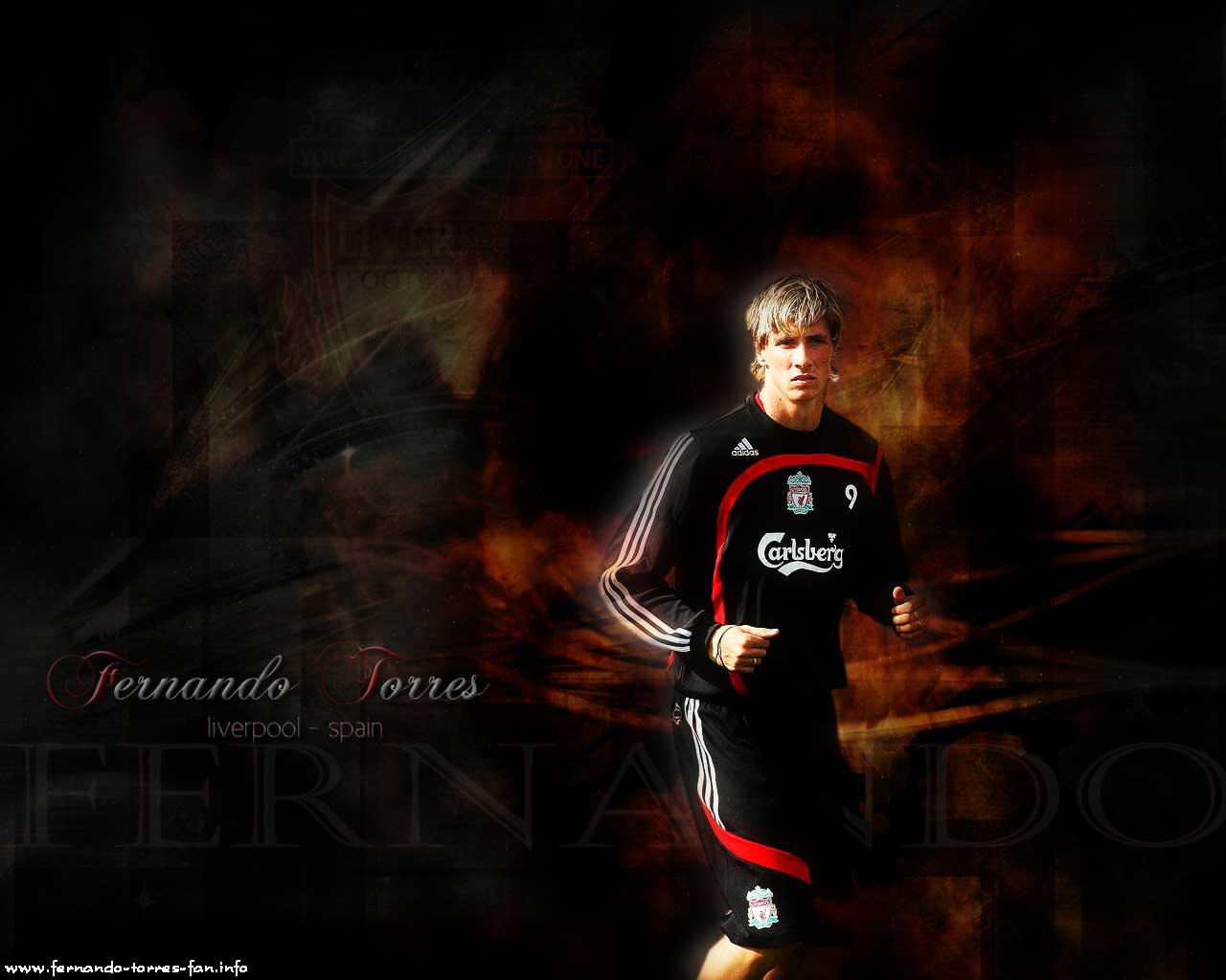 fernando_torres_wallpaper18.jpg